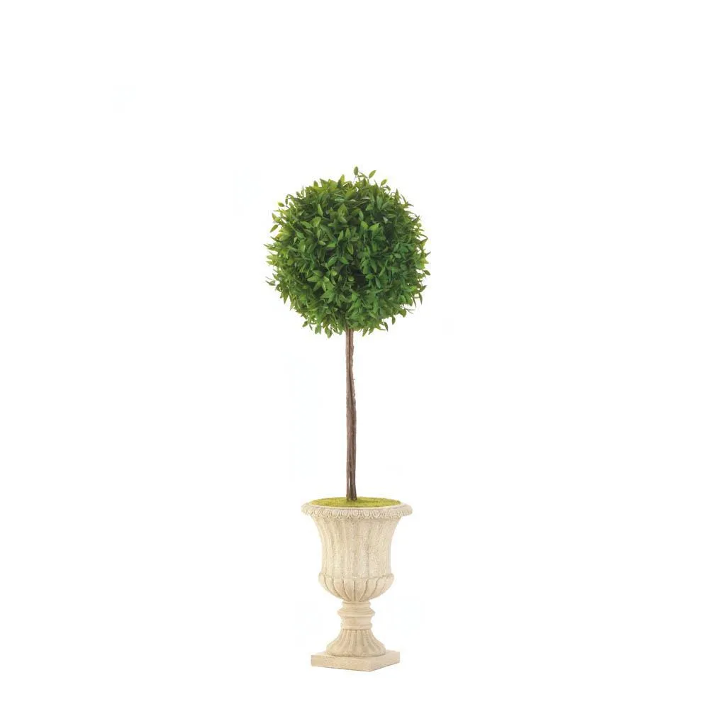 24" Topiary In White Planter