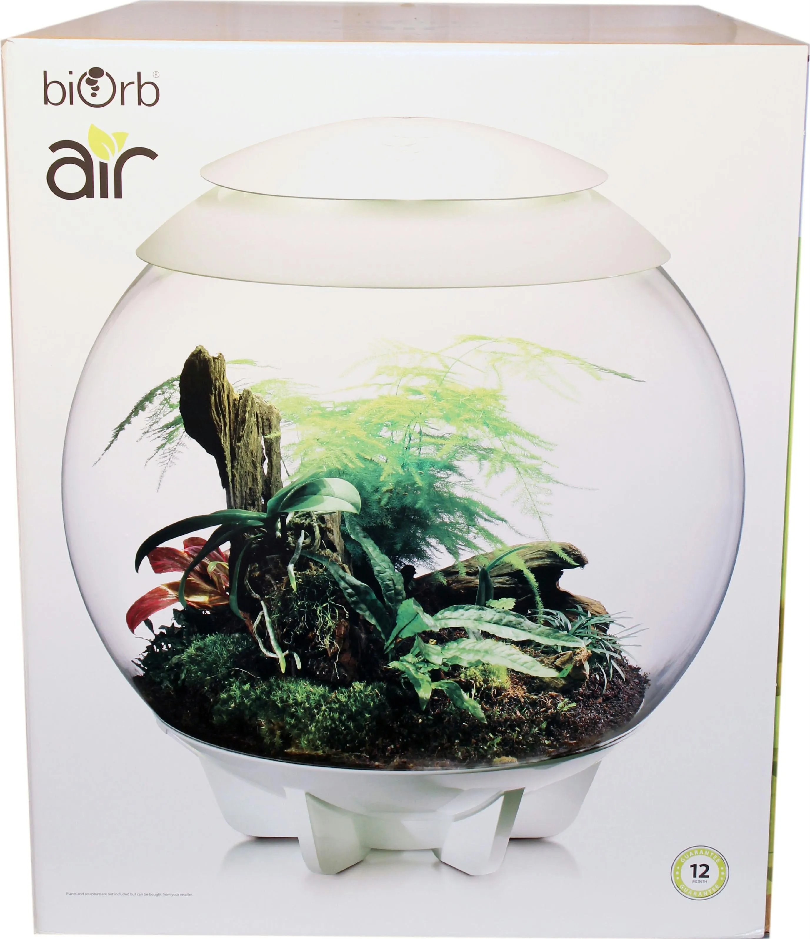 Biorb Air Terrarium