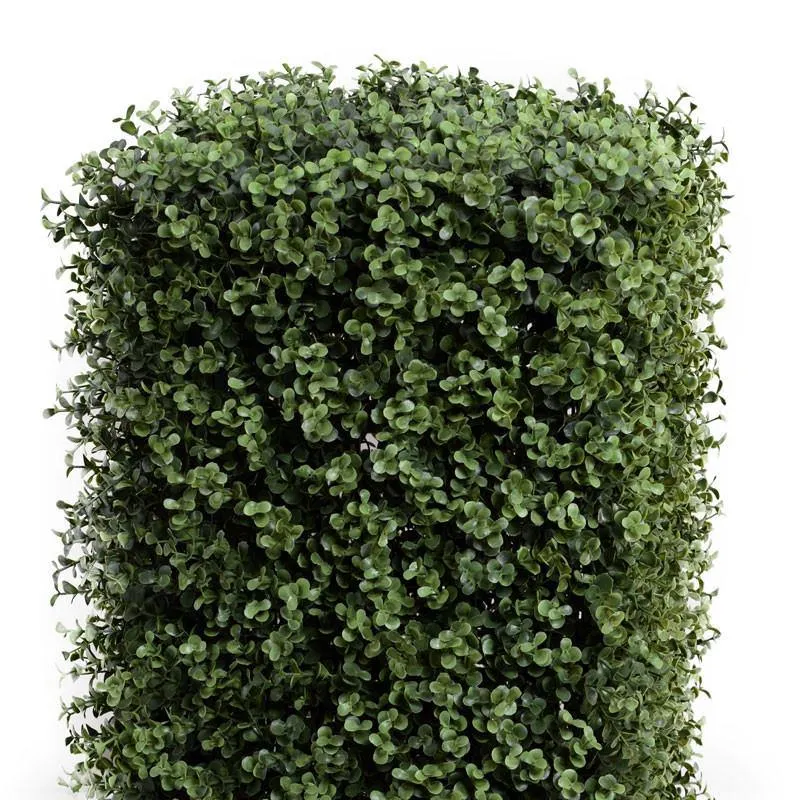 Boxwood Column 22"H