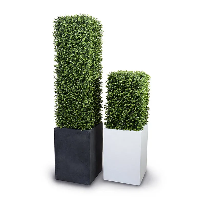 Boxwood Column 22"H