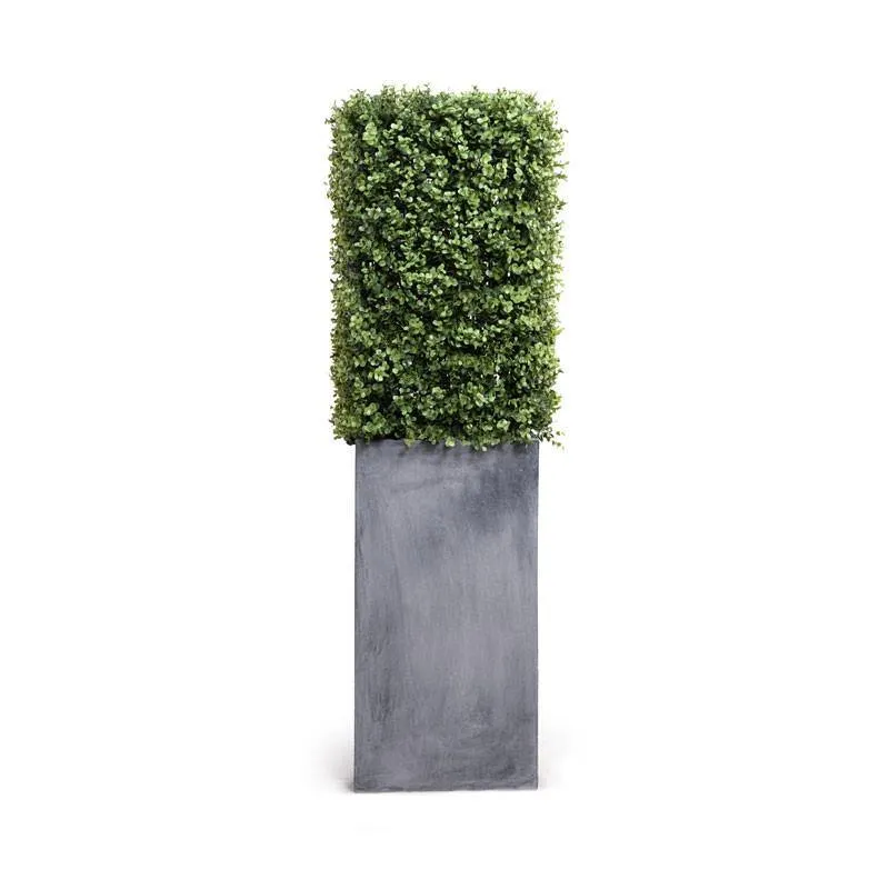 Boxwood Column 22"H