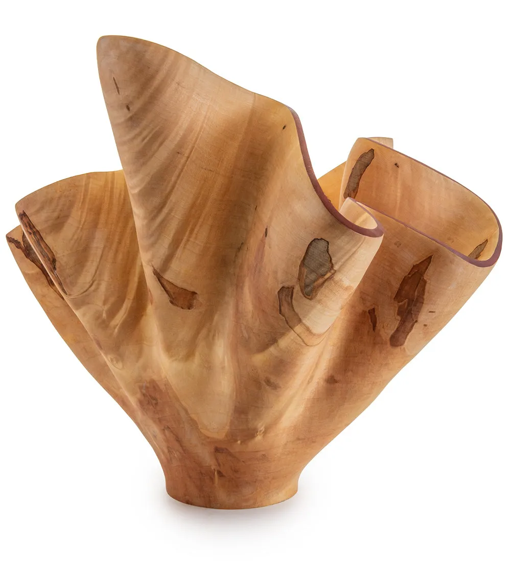 Carved Vessel "Unfolding" by Andy DiPietro