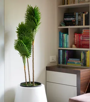 Clathia Palm Artificial Plant