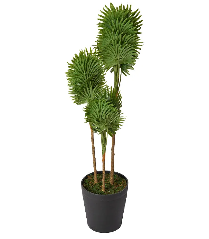 Clathia Palm Artificial Plant