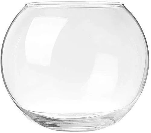 Craftfry Glass Round Vase for Home Decoration - Terrarium Glass Bubble Bowl, Fish Bowl, Rose Bowl Home Decor or Office Decor (10 Inch)