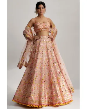 Delnaz Lehenga Set