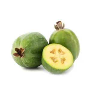 Feijoa Fragrance Oil