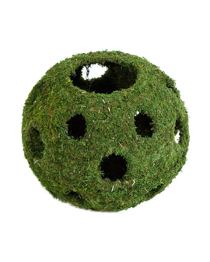 Fresh Green Moss Ball Hanging Round Basket Planter