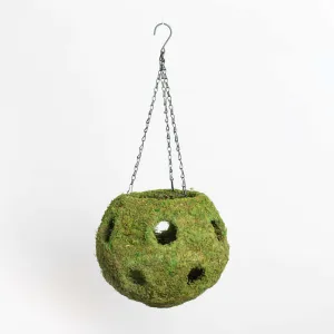 Fresh Green Moss Ball Hanging Round Basket Planter