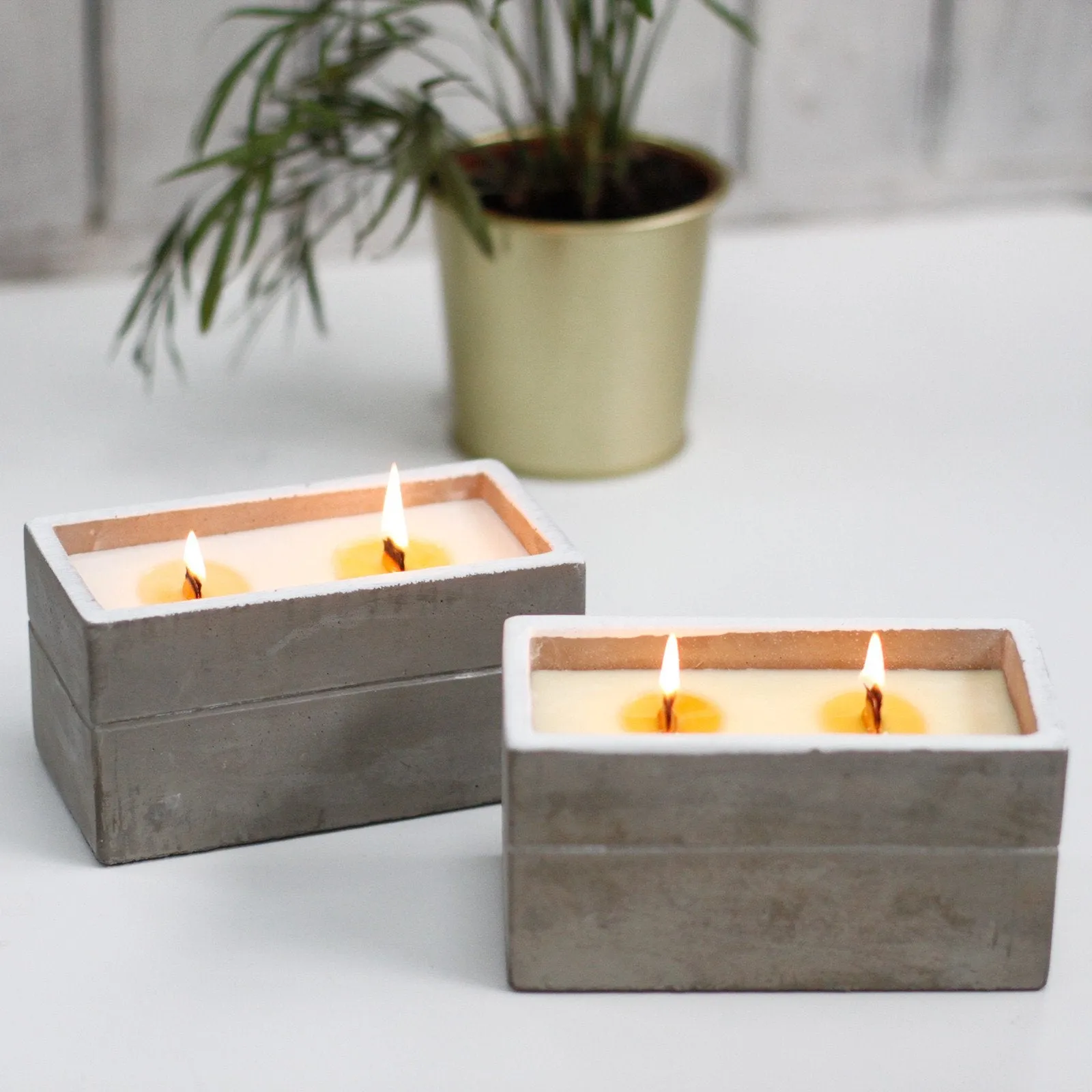 Large Box Concrete Wooden Wick Candle - Choice of Fragrances