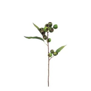 Medium Native Gum Nut - Green