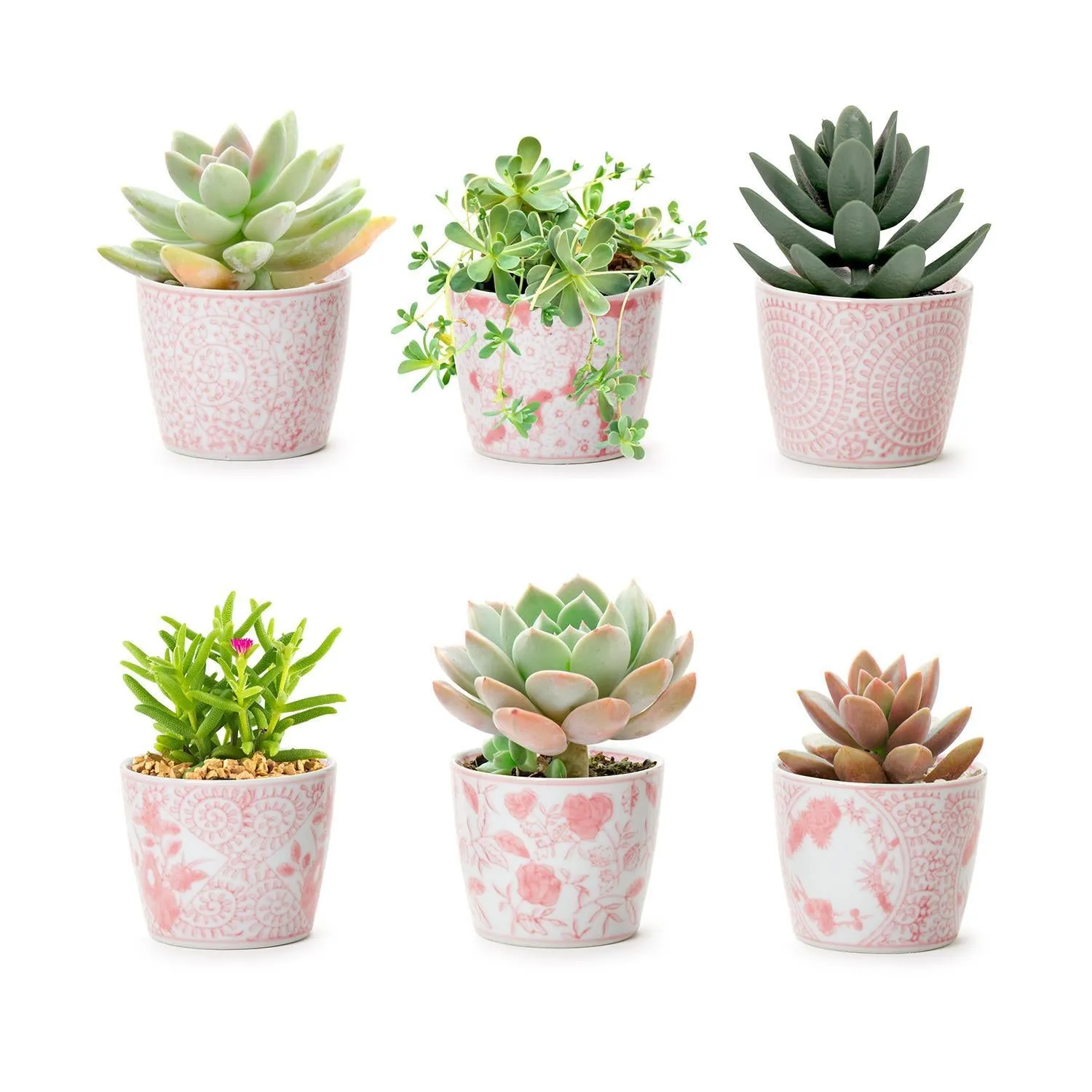 Mini Pink Cachepots