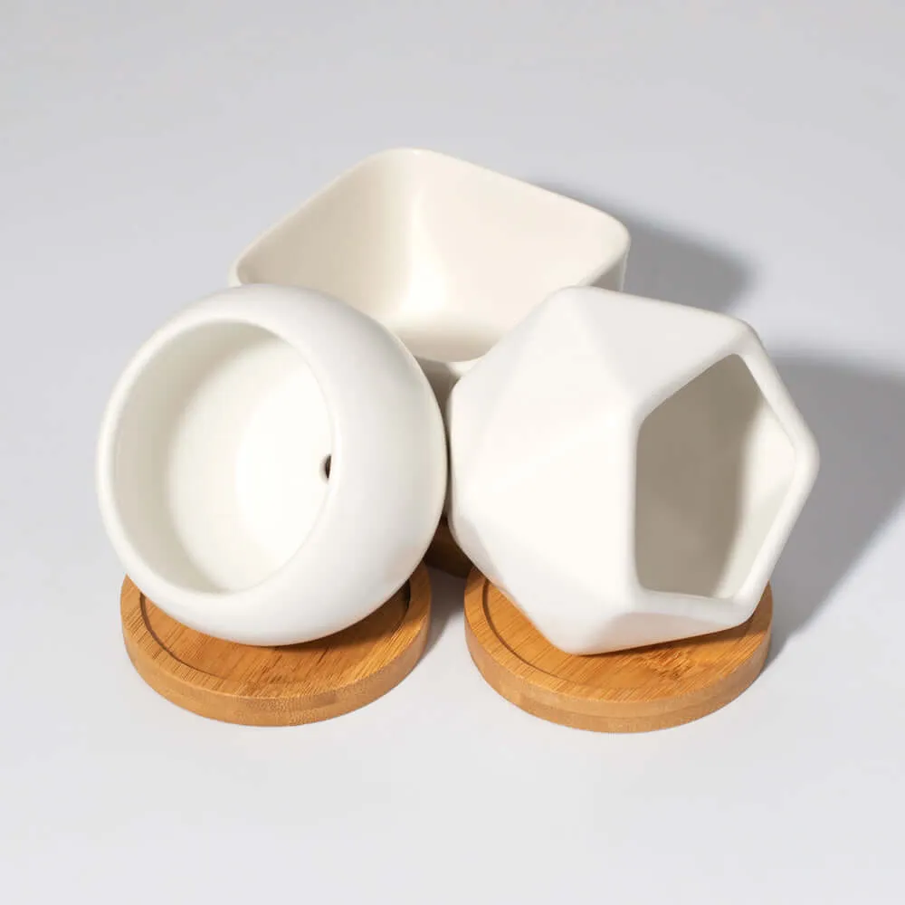 Minimalistic Ceramic White Signature Planter Bundle