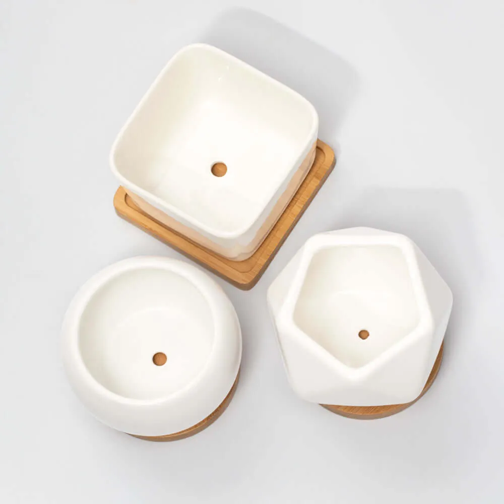 Minimalistic Ceramic White Signature Planter Bundle