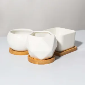 Minimalistic Ceramic White Signature Planter Bundle