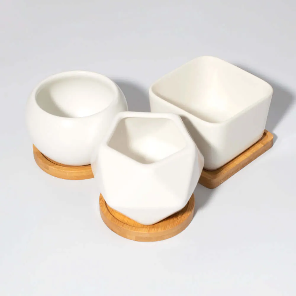 Minimalistic Ceramic White Signature Planter Bundle