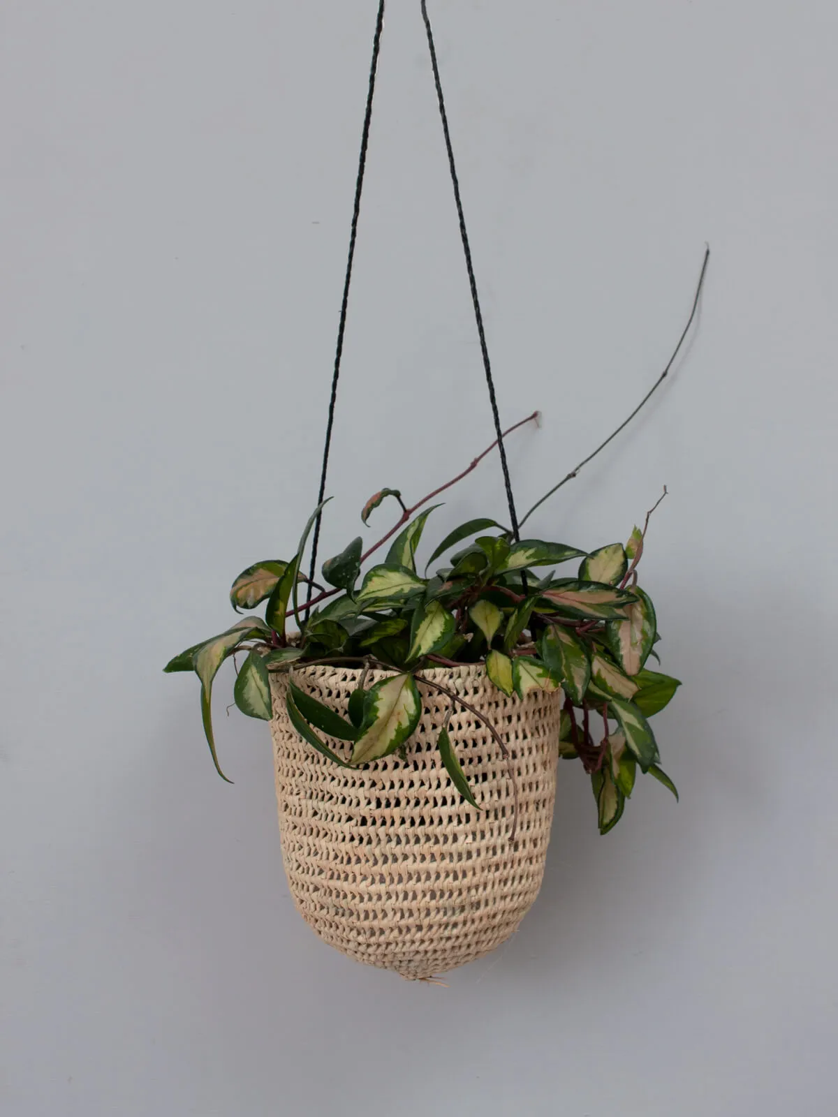 Open Weave Dome Hanging Baskets, Black