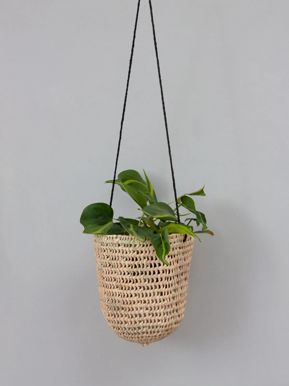 Open Weave Dome Hanging Baskets, Black