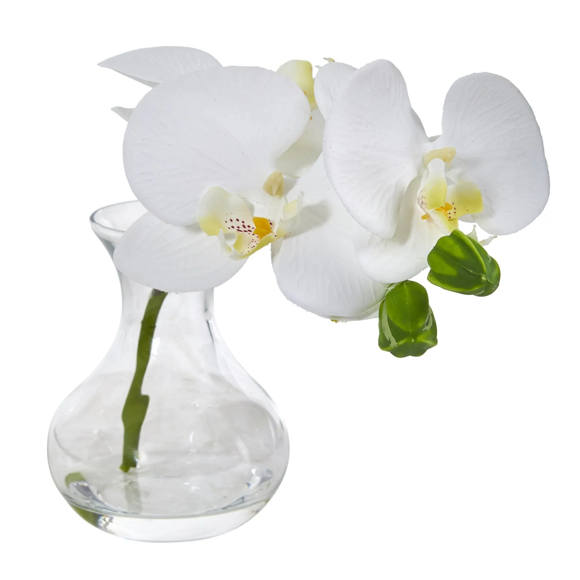 Phalaenopsis Orchid Artificial Arrangement in Vase (Set of 2)