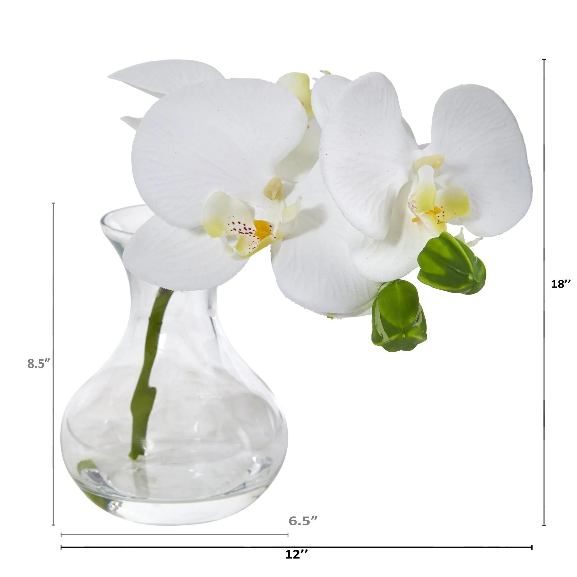 Phalaenopsis Orchid Artificial Arrangement in Vase (Set of 2)