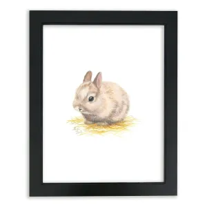 "Barnyard Littles" - Bunny - Individual Framed Print - Black - 16" x 20"