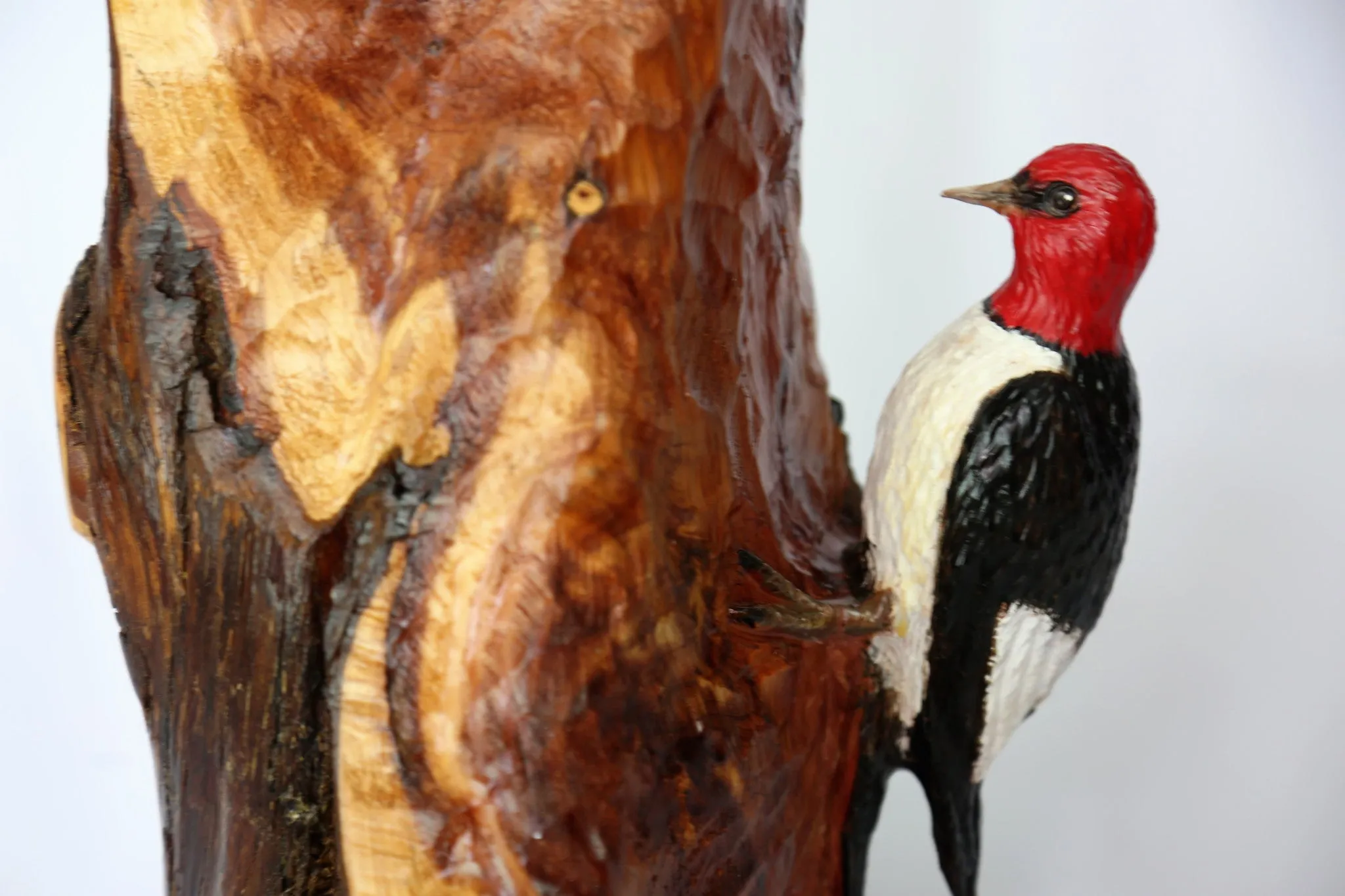 Red Headed Woodpecker