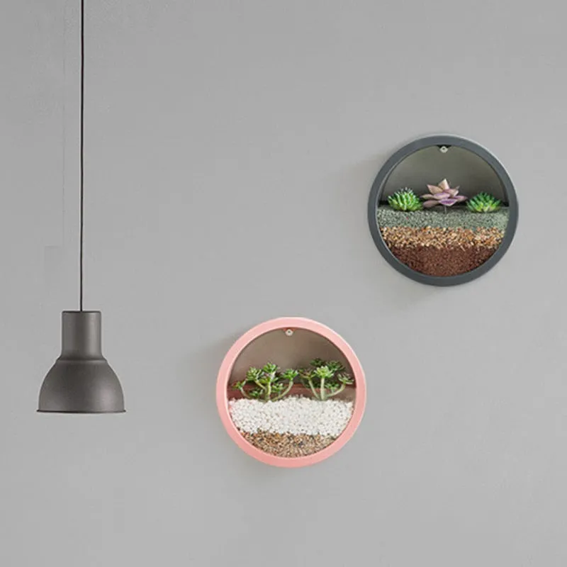 Round Hanging Wall Vase For Succulent Plant Can Be Kept In A Living Room As A Decorative Or A Flower Pot