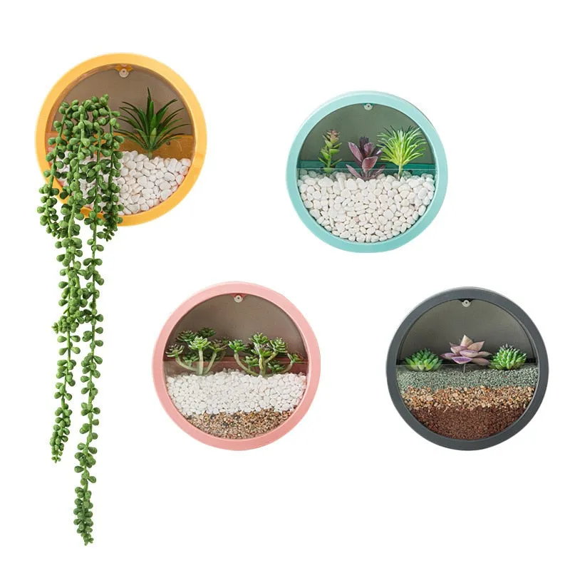 Round Hanging Wall Vase For Succulent Plant Can Be Kept In A Living Room As A Decorative Or A Flower Pot