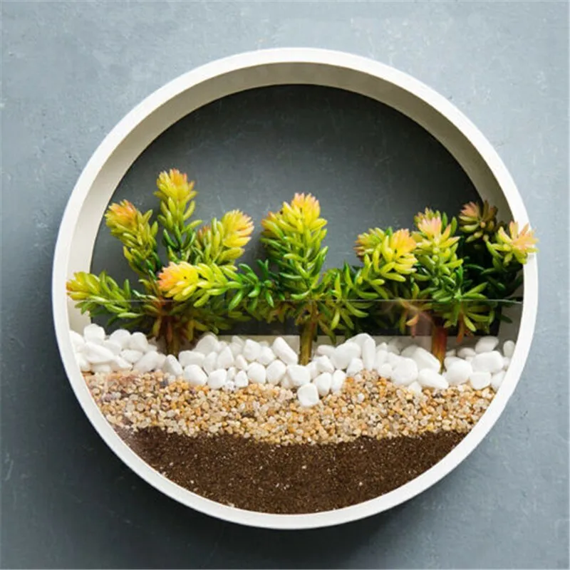 Round Hanging Wall Vase For Succulent Plant Can Be Kept In A Living Room As A Decorative Or A Flower Pot