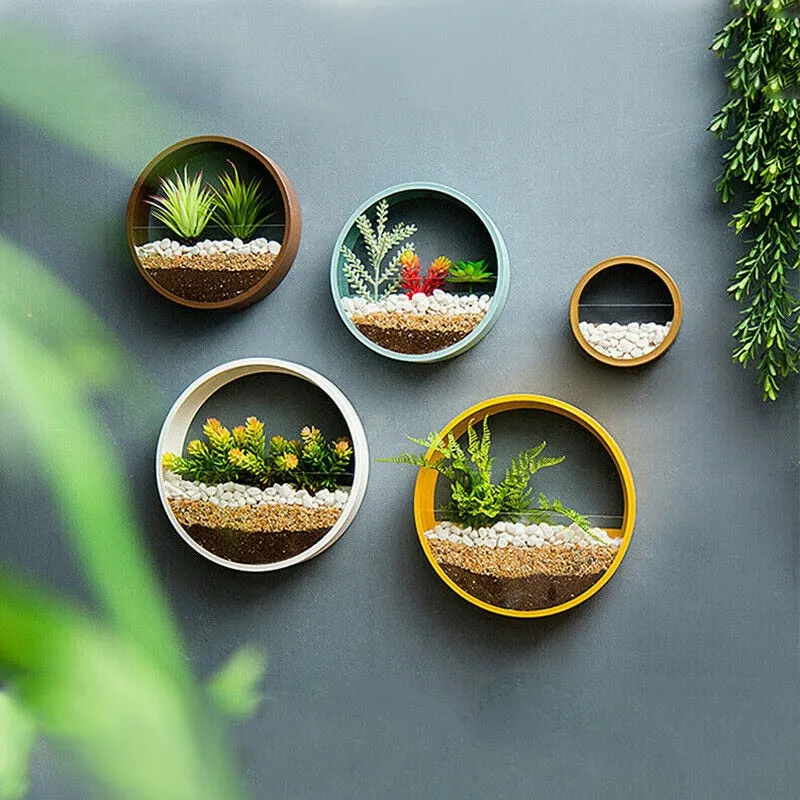 Round Hanging Wall Vase For Succulent Plant Can Be Kept In A Living Room As A Decorative Or A Flower Pot