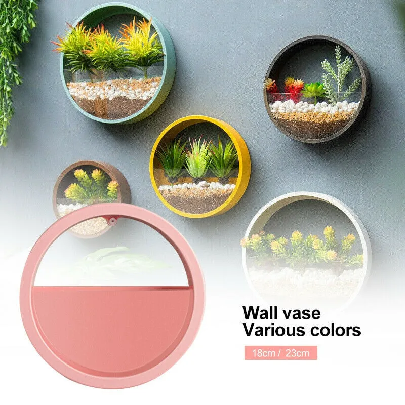 Round Hanging Wall Vase For Succulent Plant Can Be Kept In A Living Room As A Decorative Or A Flower Pot