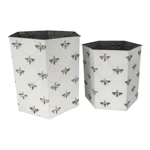 Set of 2 Nested Hexagon Bee Planters