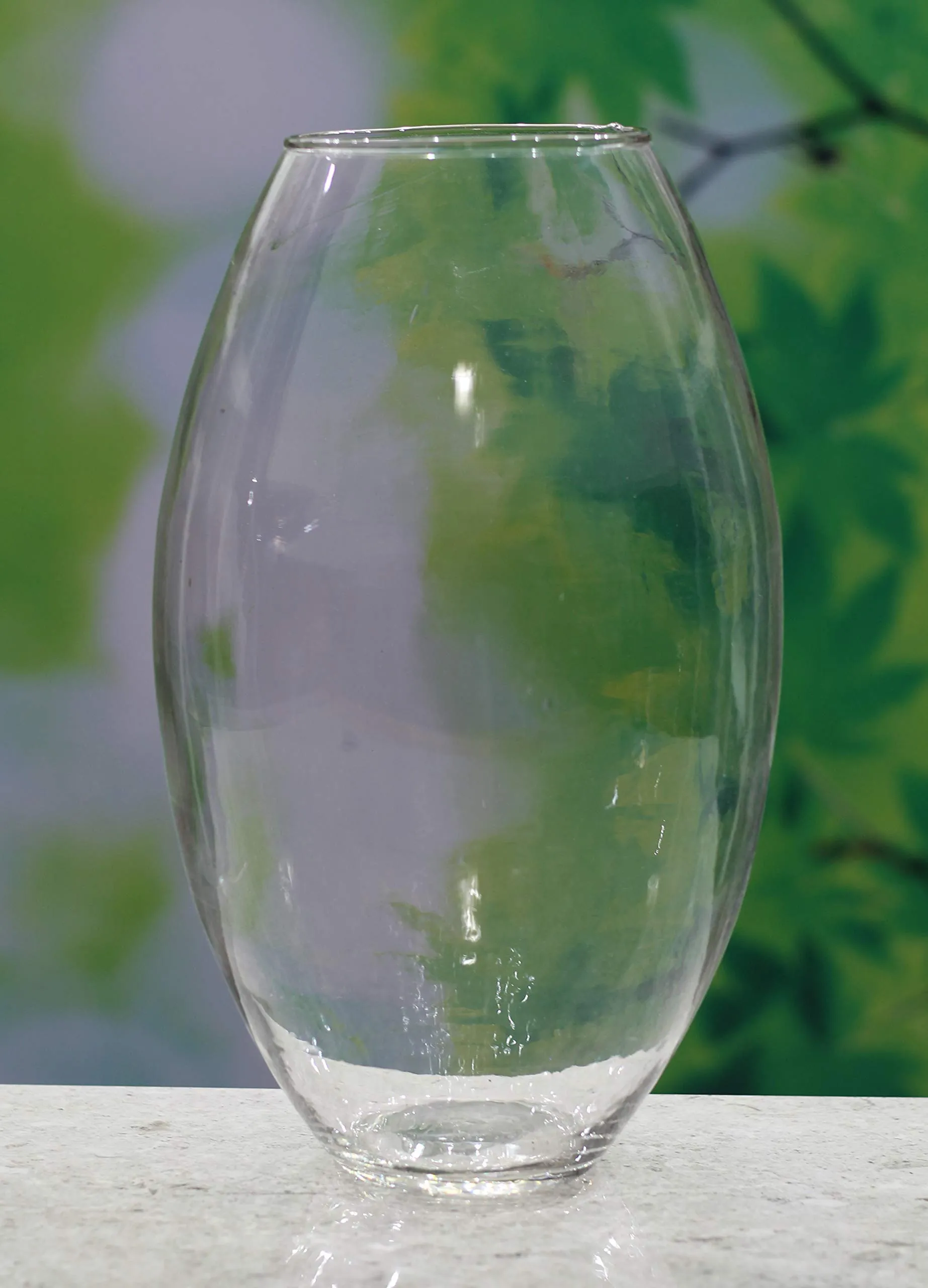 SHOBHANA ENTERPRISES Crystal Clear Oval Glass Vase (14")