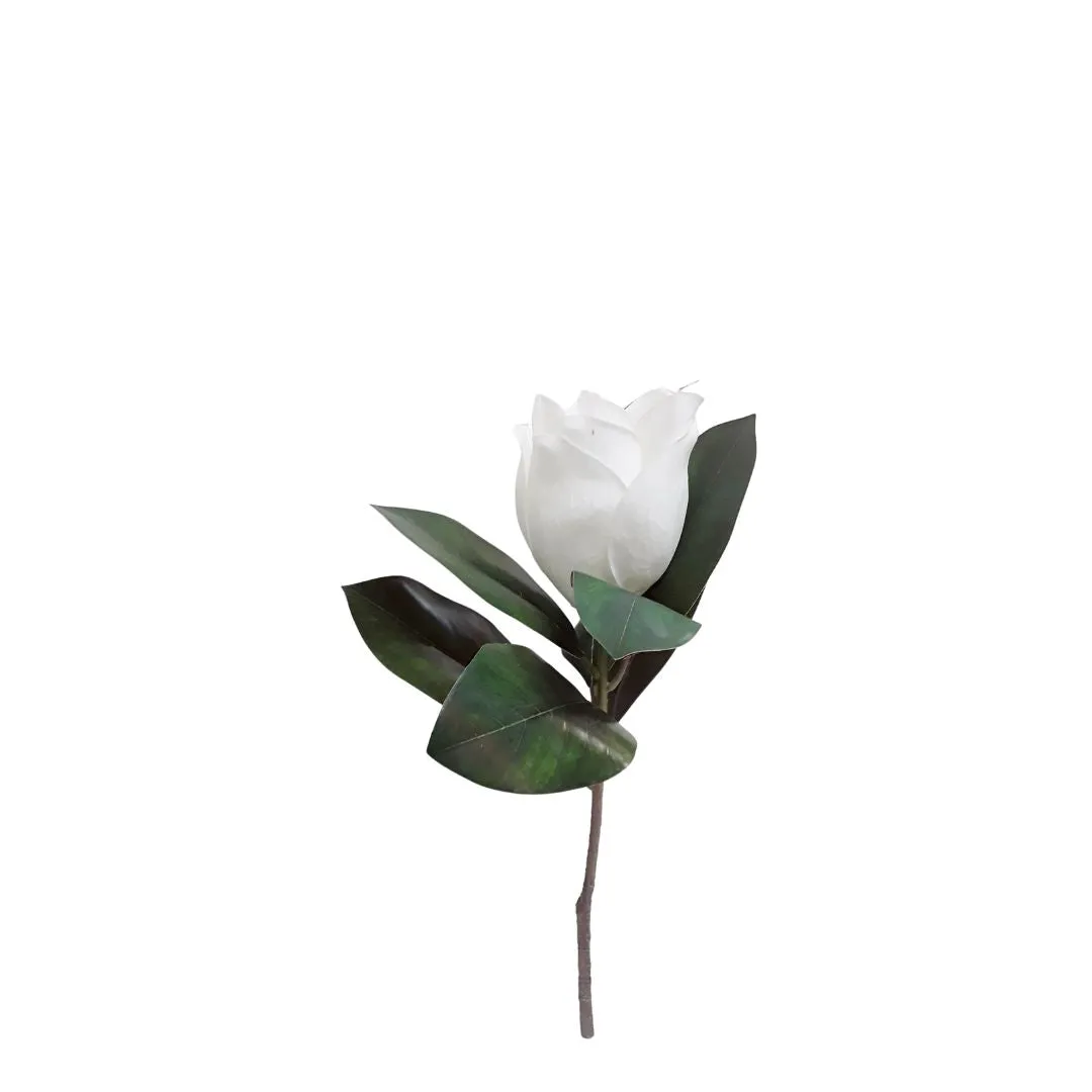 Short Stem Magnolia - White