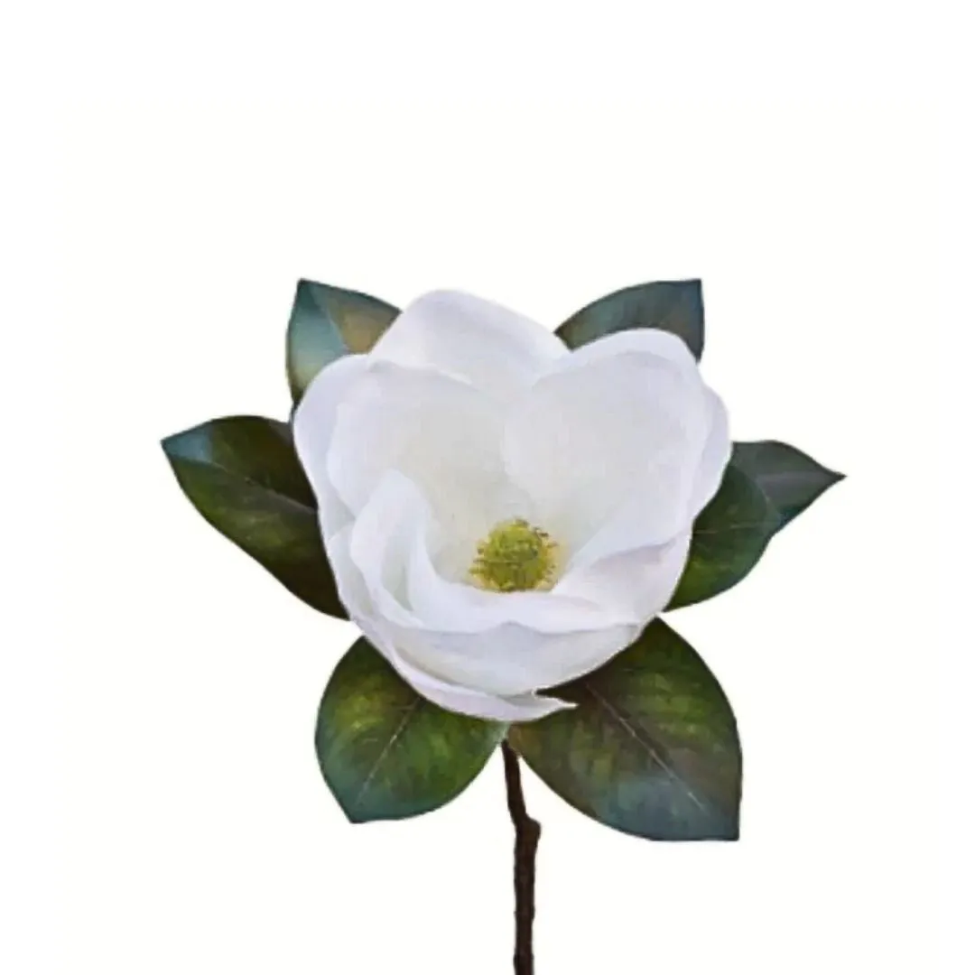 Short Stem Magnolia - White