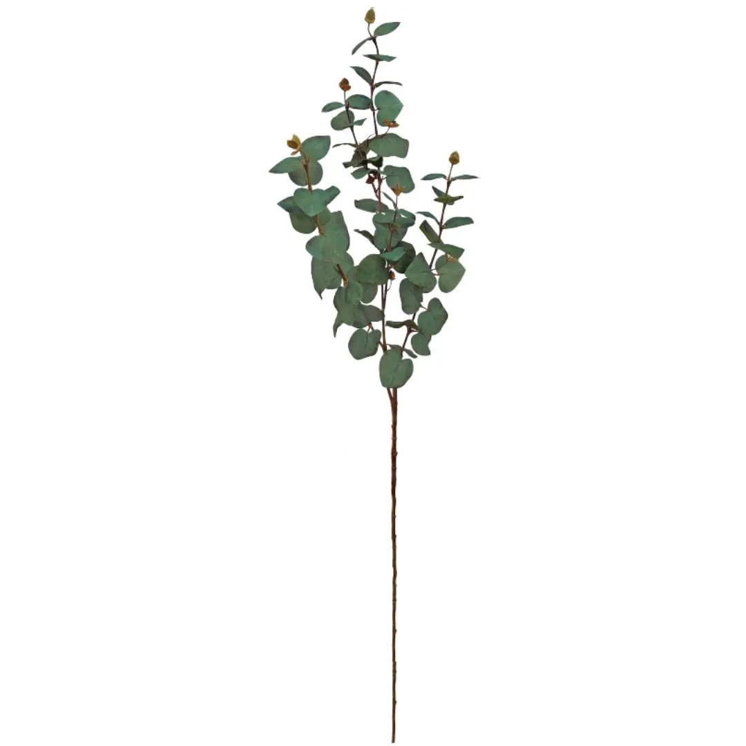 Tall Eucalyptus Spray - Dusky Green