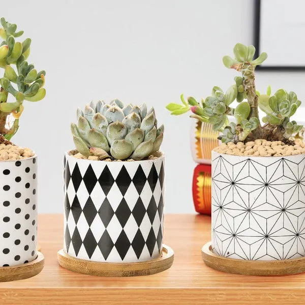 TEEK - B&W Planters Set of 3