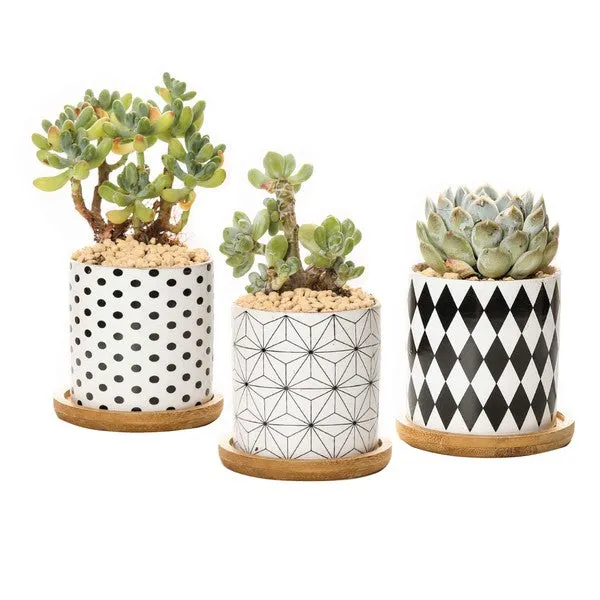 TEEK - B&W Planters Set of 3