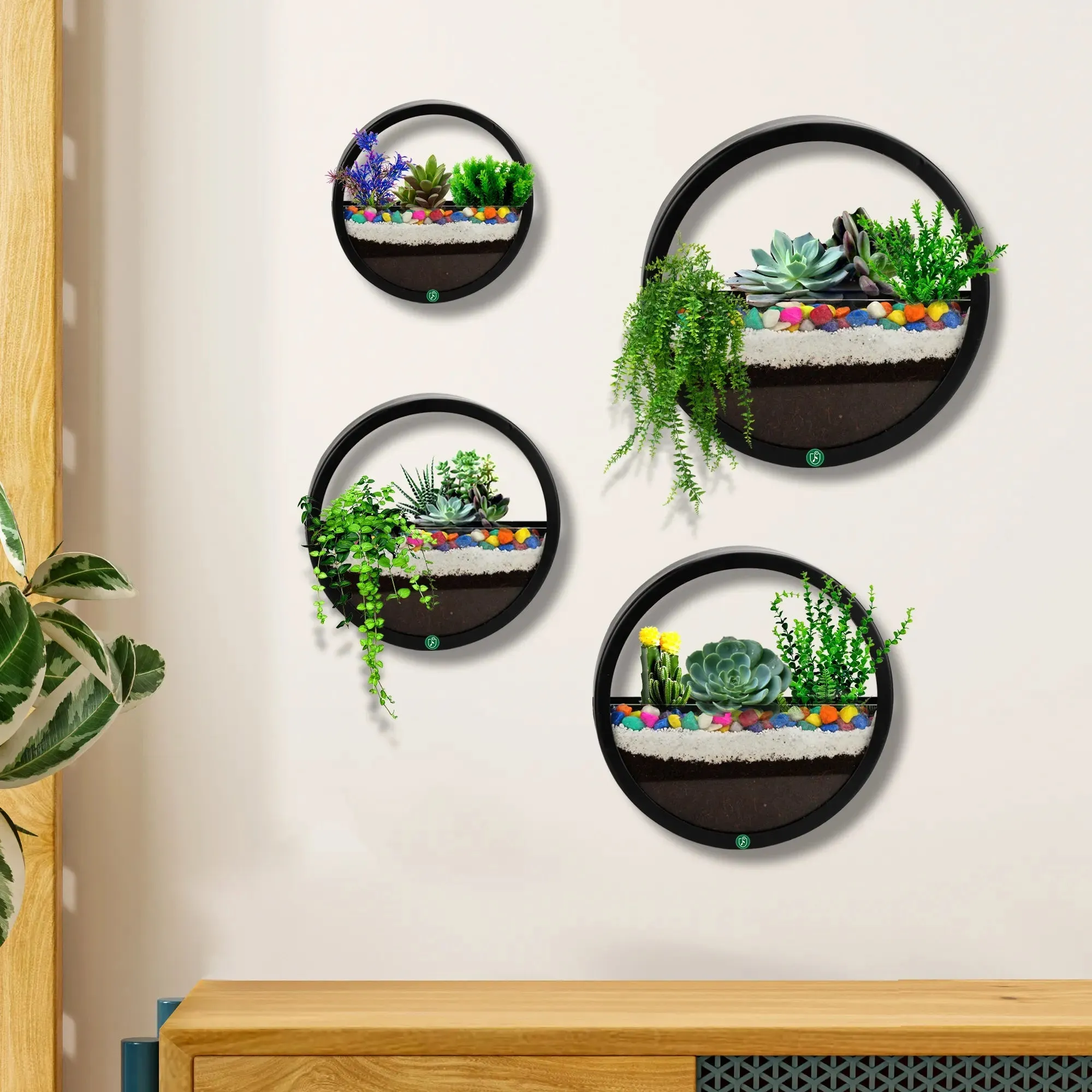 Terrariums Round Wall Planters - (Set of 4)