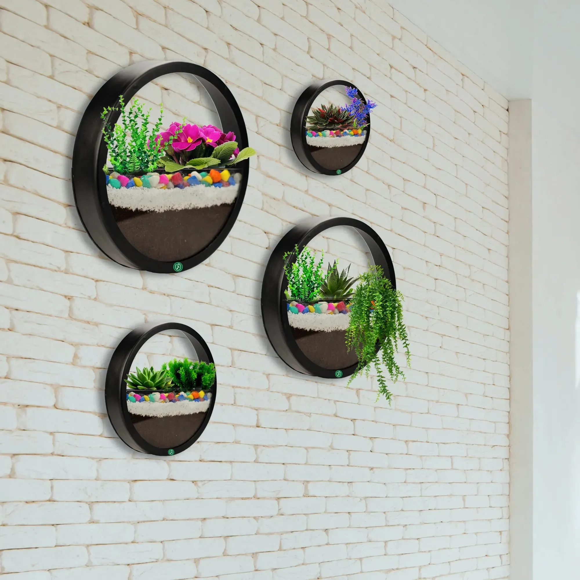 Terrariums Round Wall Planters - (Set of 4)