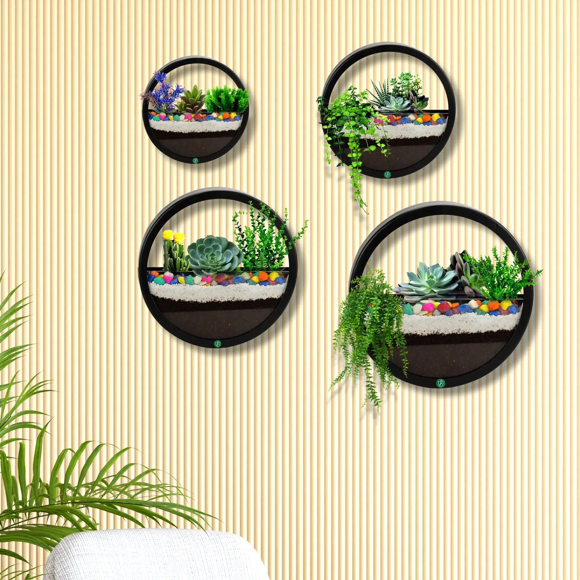 Terrariums Round Wall Planters - (Set of 4)