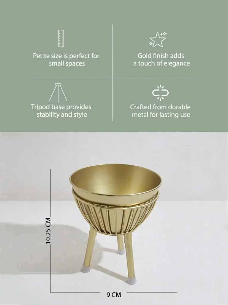 Westside Home Gold Tripod Planter - Small