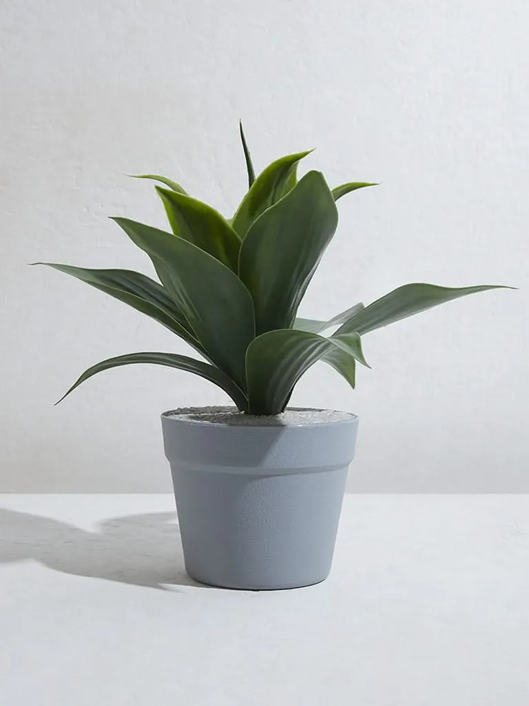 Westside Home Green Artificial Baby Sansveria Plant