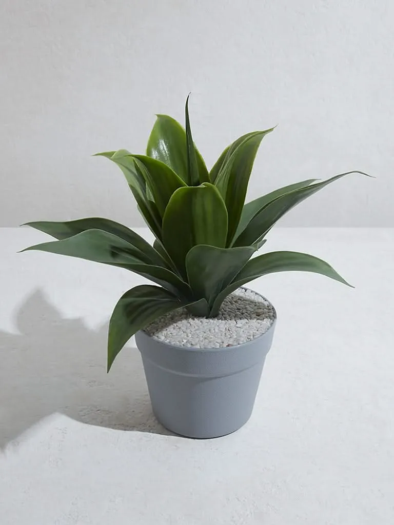 Westside Home Green Artificial Baby Sansveria Plant