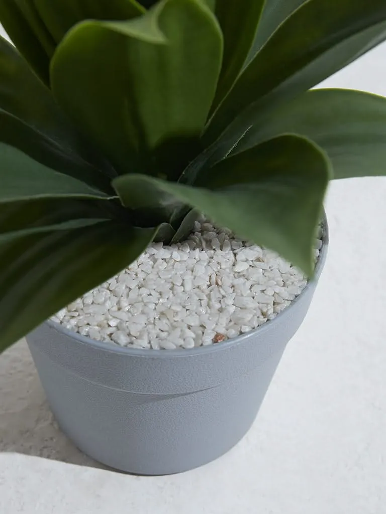 Westside Home Green Artificial Baby Sansveria Plant