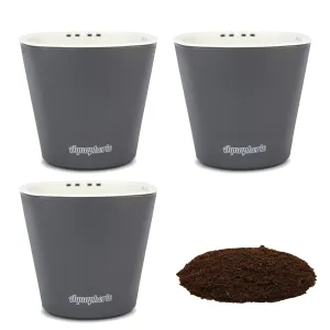 Window Garden Self Watering Planters - Pack of 3 Mini Pots for Small Indoor Plants